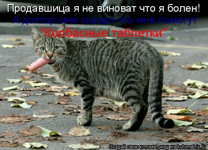Котоматрица: Продавшица я не виноват что я болен! А доктор мне сказал что мне помогут "Колбасные таблетки"