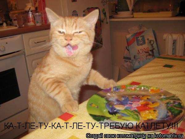 Котоматрица: КА-Т-ЛЕ-ТУ-КА-Т-ЛЕ-ТУ-ТРЕБУЮ КАТЛЕТУ!!!
