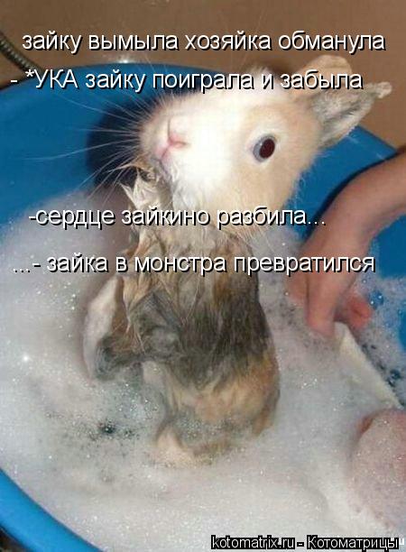 Котоматрица: зайку вымыла хозяйка обманула - *УКА зайку поиграла и забыла -сердце зайкино разбила... ...- зайка в монстра превратился