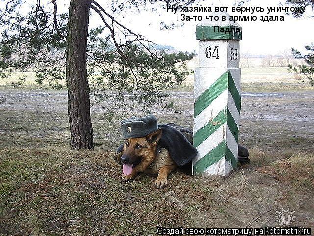 Котоматрица: Ну хазяйка вот вернусь уничтожу За-то что в армию здала Падла