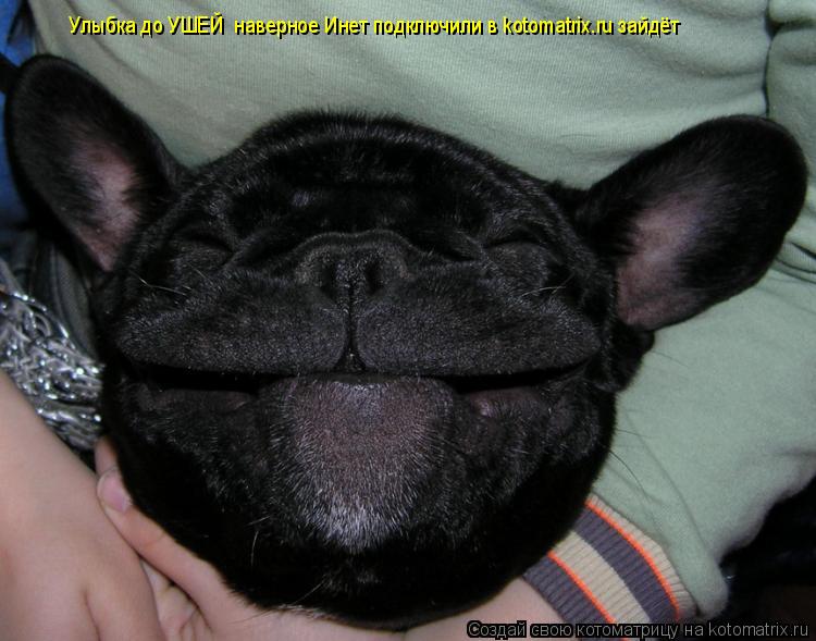 Котоматрица: Улыбка до УШЕЙ  наверное Инет подключили в kotomatrix.ru зайдёт