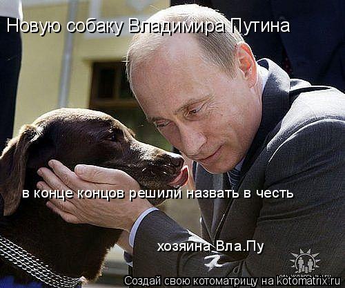 Новую собаку Владимира Путина в конце концов решили назвать в честь хозяина Вла.Пу... Котоматрица: Новую собаку Владимира Путина в конце концов решили назвать в честь хозяина Вла.Пу