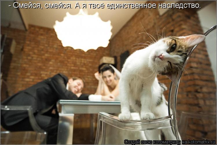 Котоматрица: - Смейся, смейся. А я твоё единственное наследство.