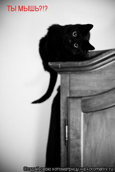 Котоматрица: ТЫ МЫШЬ?!?