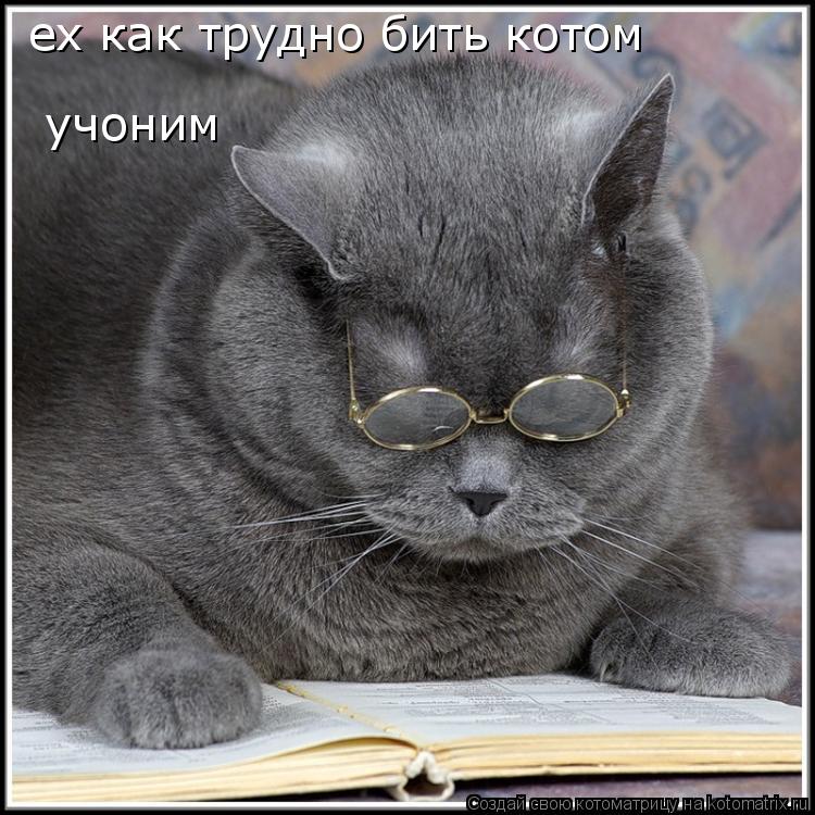 ех как трудно бить котом учоним... Котоматрица: ех как трудно бить котом учоним