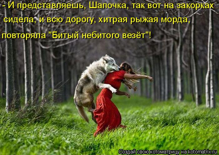 - И представляешь, Шапочка, так вот на закорках сидела, и всю дорогу, хитрая рыжая морда, повторяла... Котоматрица: - И представляешь, Шапочка, так вот на закорках сидела, и всю дорогу, хитрая рыжая морда, повторяла "Битый небитого везёт"!