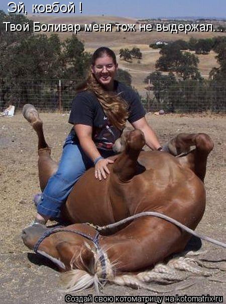 Эй, ковбой ! Твой Боливар меня тож не выдержал...... Котоматрица: Эй, ковбой ! Твой Боливар меня тож не выдержал...
