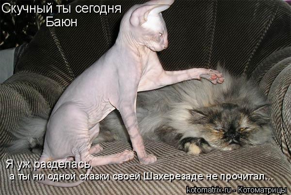 Скучный ты сегодня Баюн Я уж разделась, а ты ни одной сказки своей Шахерезаде не прочитал...... Котоматрица: Скучный ты сегодня Баюн Я уж разделась, а ты ни одной сказки своей Шахерезаде не прочитал...