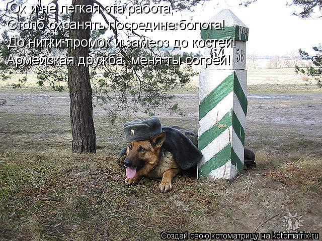 Котоматрица: Столб охранять посредине болота! До нитки промок и замерз до костей! Армейская дружба, меня ты согрей! Ох и не легкая эта работа,