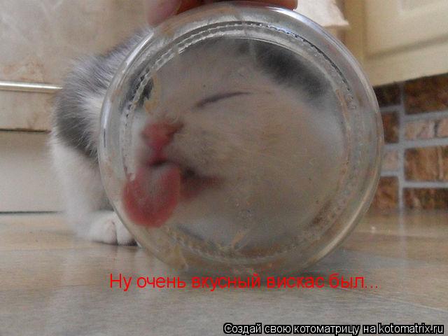 Котоматрица: Ну очень вкусный вискас был...