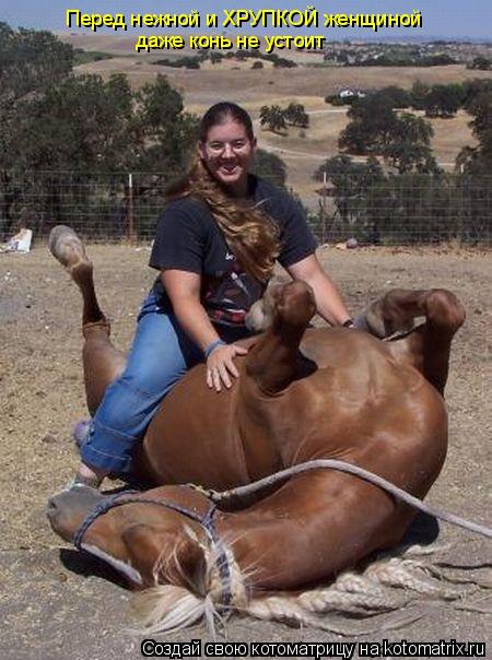 Котоматрица: Перед нежной и ХРУПКОЙ женщиной  даже конь не устоит