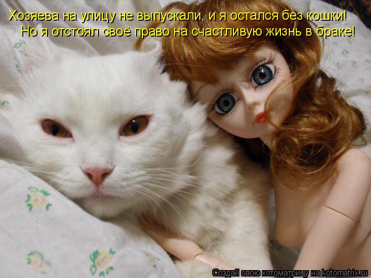 Котоматрица: Хозяева на улицу не выпускали, и я остался без кошки! Но я отстоял своё право на счастливую жизнь в браке!
