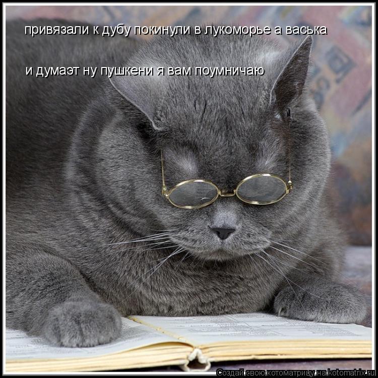 Котоматрица: привязали к дубу покинули в лукоморье а васька  и думаэт ну пушкени я вам поумничаю