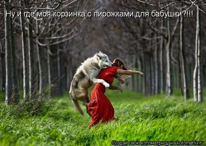 Котоматрица: Ну и где моя корзинка с пирожками для бабушки?!!!
