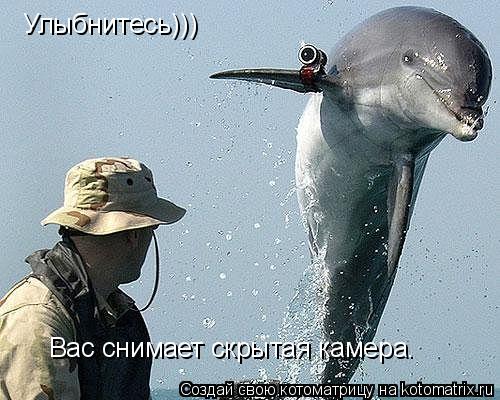 Котоматрица: Улыбнитесь))) Вас снимает скрытая камера.