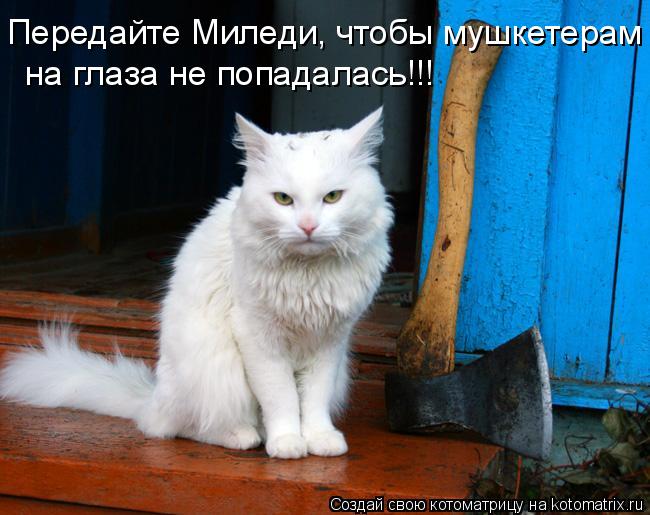 Котоматрица: Передайте Миледи, чтобы мушкетерам  на глаза не попадалась!!!