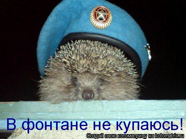 Котоматрица: В фонтане не купаюсь!
