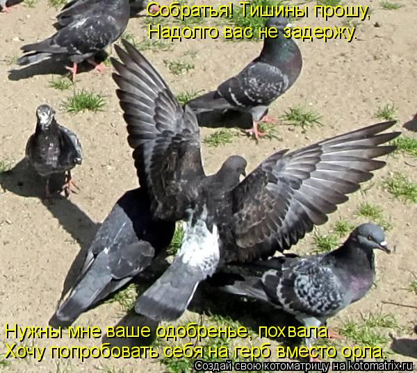 Собратья! Тишины прошу, Надолго вас не задержу. Хочу попробовать себя на герб вместо орла. Нужны мне ... Котоматрица: Собратья! Тишины прошу, Надолго вас не задержу. Хочу попробовать себя на герб вместо орла. Нужны мне ваше одобренье, похвала.