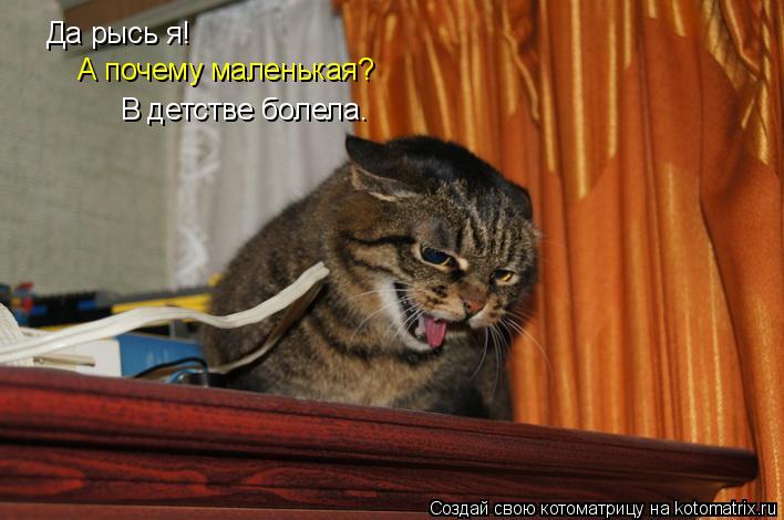 Да рысь я! А почему маленькая? В детстве болела.... Котоматрица: Да рысь я! А почему маленькая? В детстве болела.