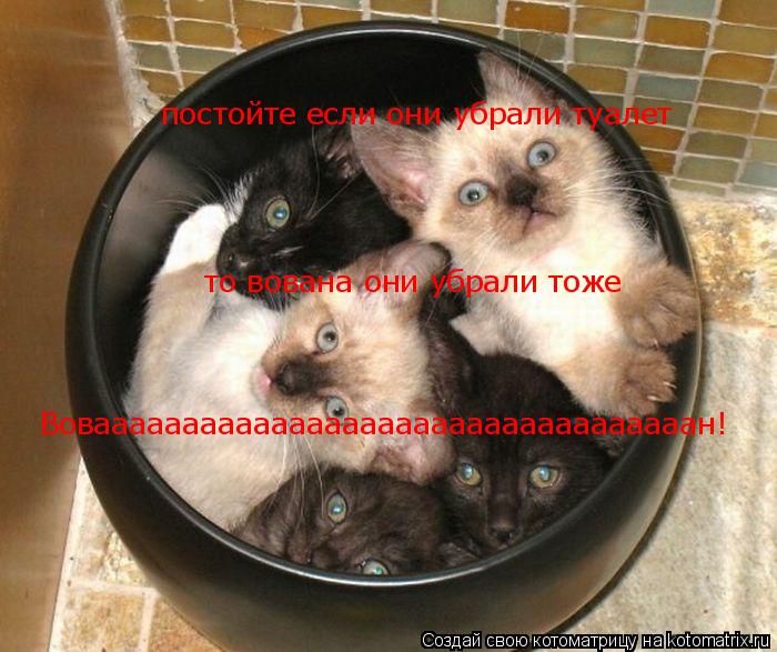 постойте если они убрали туалет то вована они убрали тоже Воваааааааааааааааааааааааааааааааааан!... Котоматрица: постойте если они убрали туалет то вована они убрали тоже Воваааааааааааааааааааааааааааааааааан!