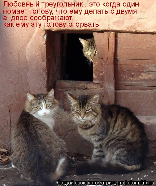 Любовный треугольник – это когда один ломает голову, что ему делать с двумя, а двое соображают, к... Котоматрица: Любовный треугольник – это когда один ломает голову, что ему делать с двумя, а двое соображают, как ему эту голову оторвать.