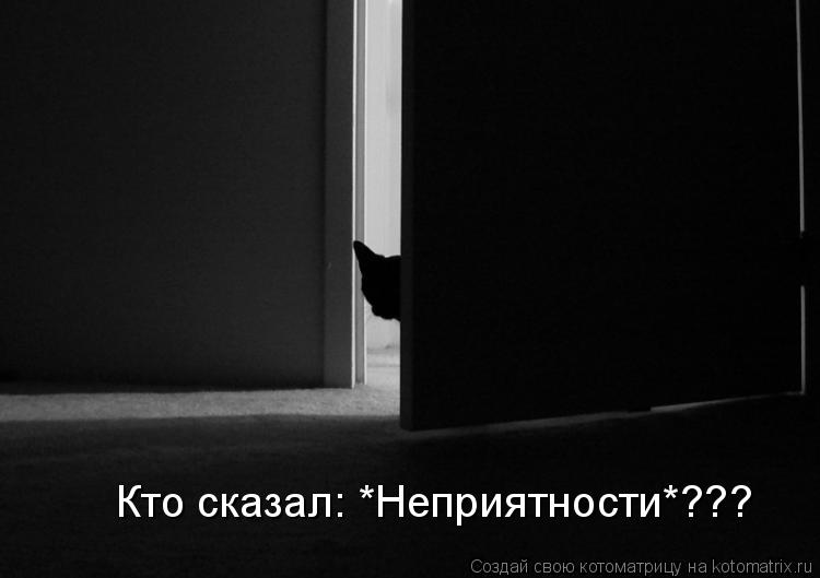 Кто сказал: *Неприятности*???... Котоматрица: Кто сказал: *Неприятности*???