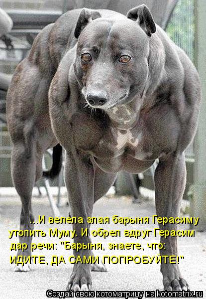 ...И велела злая барыня Герасиму утопить Муму. И обрел вдруг Герасим дар речи: "Барыня, знаете, что:... Котоматрица: ...И велела злая барыня Герасиму утопить Муму. И обрел вдруг Герасим дар речи: "Барыня, знаете, что: ИДИТЕ, ДА САМИ ПОПРОБУЙТЕ!"