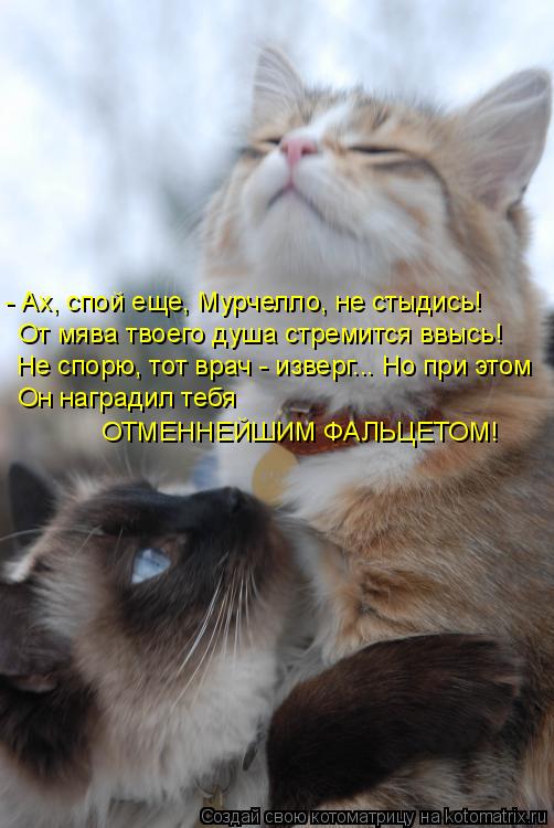 - Ах, спой еще, Мурчелло, не стыдись! От мява твоего душа стремится ввысь! Не спорю, тот врач - извер... Котоматрица: - Ах, спой еще, Мурчелло, не стыдись! От мява твоего душа стремится ввысь! Не спорю, тот врач - изверг... Но при этом Он наградил тебя ОТМЕННЕЙШИ