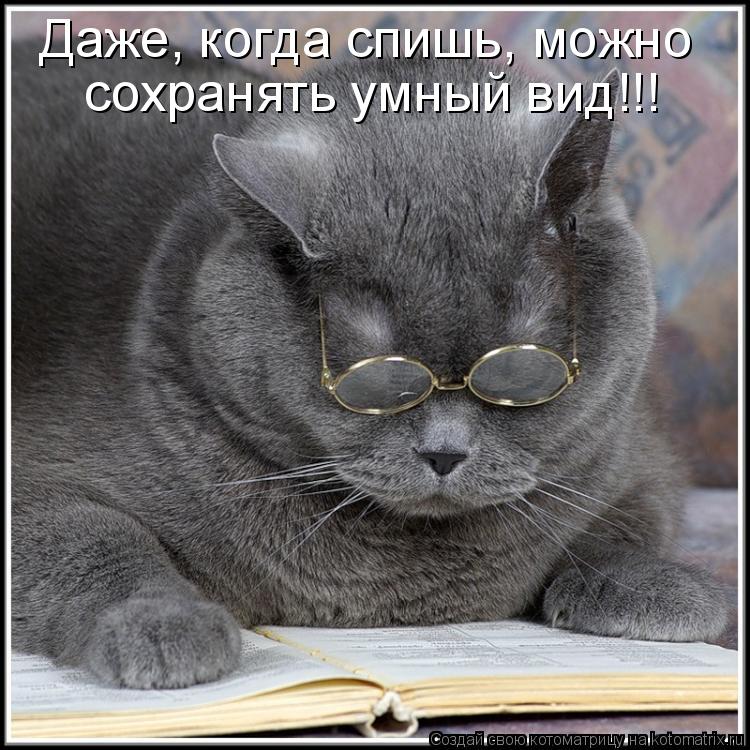 Котоматрица: Даже, когда спишь, можно сохранять умный вид!!!