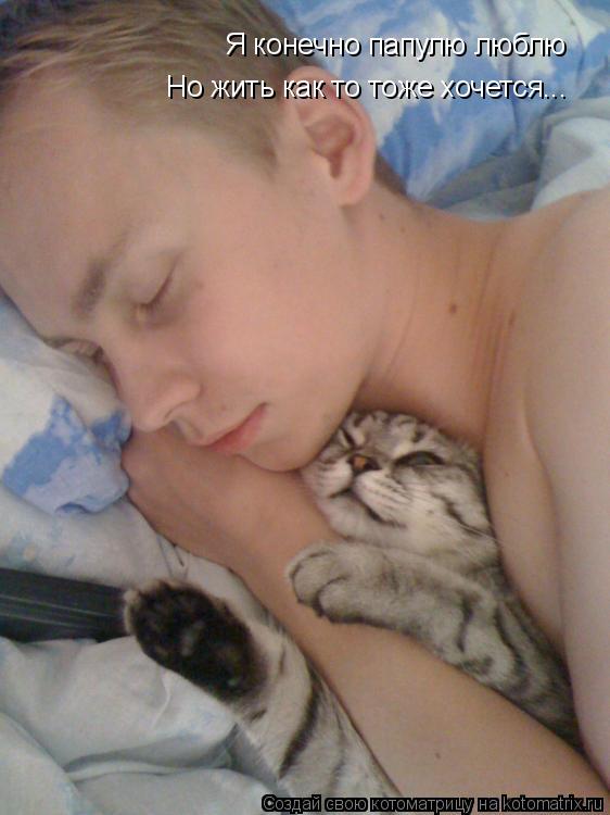 Котоматрица: Я конечно папулю люблю Но жить как то тоже хочется...