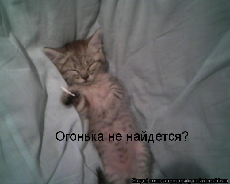 Котоматрица: Огонька не найдется?