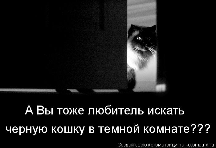 А Вы тоже любитель искать черную кошку в темной комнате???... Котоматрица: А Вы тоже любитель искать черную кошку в темной комнате???
