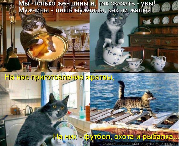 Котоматрица: Мы -только женщины и, так сказать - увы! Мужчины - лишь мужчины, как ни жалко!  На нас приготовление жратвы, На них - футбол, охота и рыбалка...