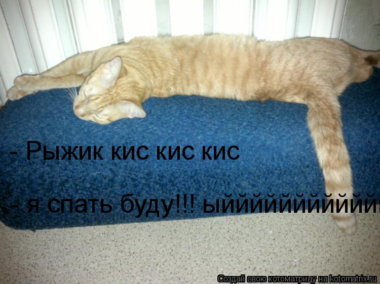 Котоматрица: - Рыжик кис кис кис - Рыжик кис кис кис - я спать буду!!! ыййййййййййййййййй - я спать буду!!! ыййййййййййййййййй