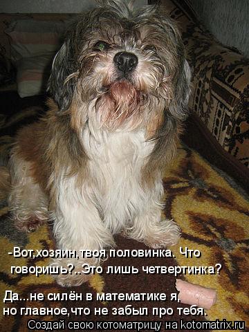 Котоматрица: -Вот,хозяин,твоя половинка. Что говоришь?..Это лишь четвертинка? Да...не силён в математике я, Да...не силён в математике я, но главное,что не за