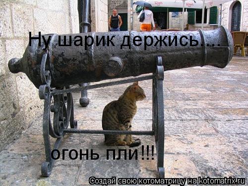 Котоматрица: Ну шарик держись.... огонь пли!!!