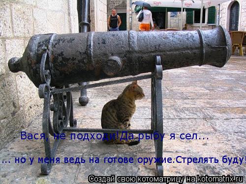 Котоматрица: Вася, не подходи!Да рыбу я сел... ... но у меня ведь на готове оружие.Стрелять буду! ... но у меня ведь на готове оружие.Стрелять буду!
