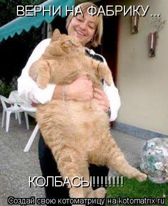 Котоматрица: ВЕРНИ НА ФАБРИКУ  ... КОЛБАСЫ!!!!!!!!