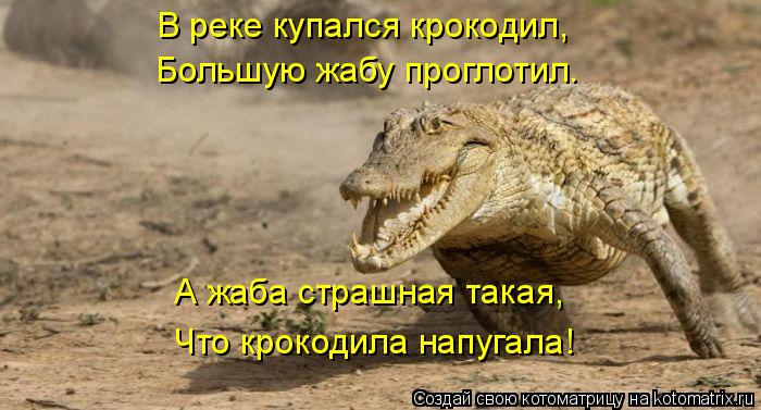 В реке купался крокодил, Большую жабу проглотил. А жаба страшная такая, Что крокодила напугала!... Котоматрица: В реке купался крокодил, Большую жабу проглотил. А жаба страшная такая, Что крокодила напугала!