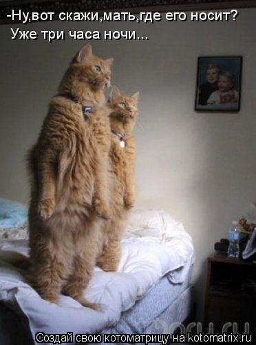 -Ну,вот скажи,мать,где его носит? Уже три часа ночи...... Котоматрица: -Ну,вот скажи,мать,где его носит? Уже три часа ночи...