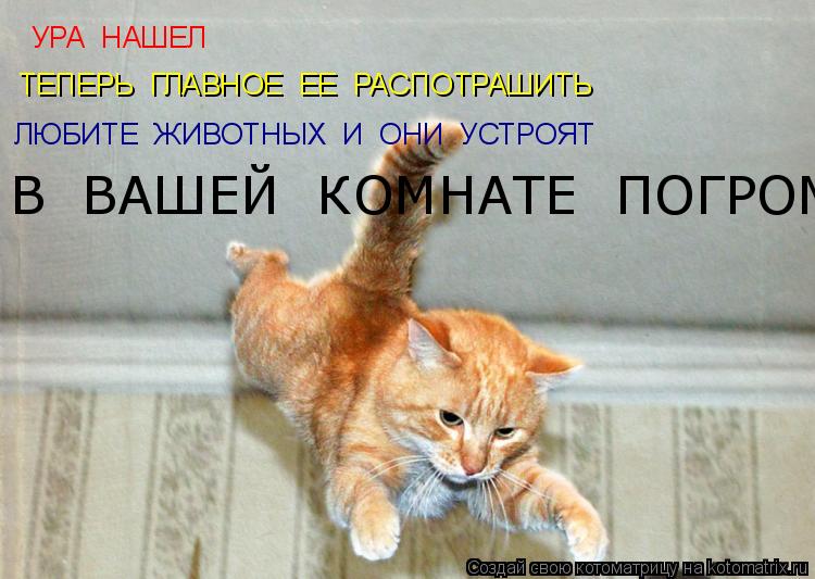 УРА НАШЕЛ ТЕПЕРЬ ГЛАВНОЕ ЕЕ РАСПОТРАШИТЬ ЛЮБИТЕ ЖИВОТНЫХ И ОНИ УСТРОЯТ В ВАШЕЙ КОМНАТ... Котоматрица: УРА НАШЕЛ ТЕПЕРЬ ГЛАВНОЕ ЕЕ РАСПОТРАШИТЬ ЛЮБИТЕ ЖИВОТНЫХ И ОНИ УСТРОЯТ В ВАШЕЙ КОМНАТЕ ПОГРОМ