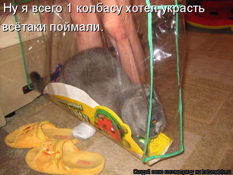 Котоматрица: Ну я всего 1 колбасу хотел украсть всётаки поймали.