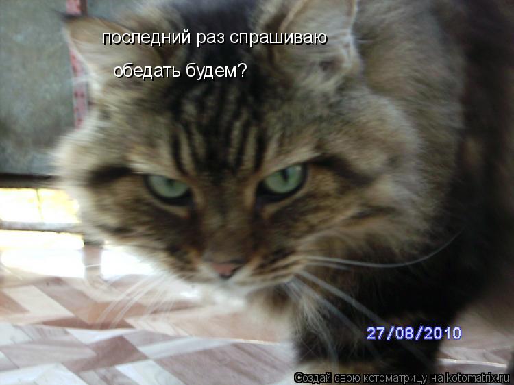 последний раз спрашиваю обедать будем?... Котоматрица: последний раз спрашиваю обедать будем?
