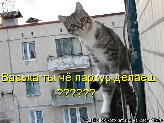 Котоматрица: Васька ты чё паркур делаеш ??????