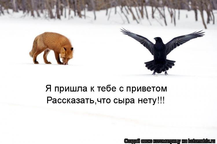 Котоматрица: Я пришла к тебе с приветом Рассказать,что сыра нету!!!