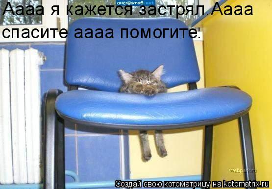 Котоматрица: Аааа я кажется застрял.Аааа спасите аааа помогите .