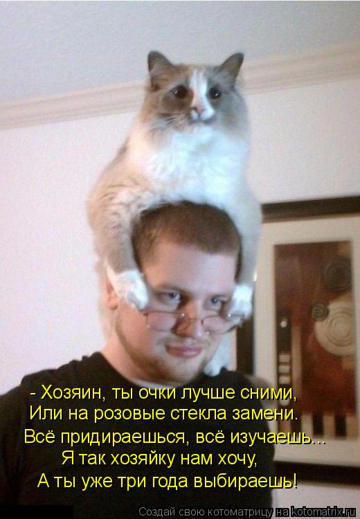 - Хозяин, ты очки лучше сними, А ты уже три года выбираешь! Всё придираешься, всё изучаешь... Я так х... Котоматрица: - Хозяин, ты очки лучше сними, А ты уже три года выбираешь! Всё придираешься, всё изучаешь... Я так хозяйку нам хочу, Или на розовые стекла заме
