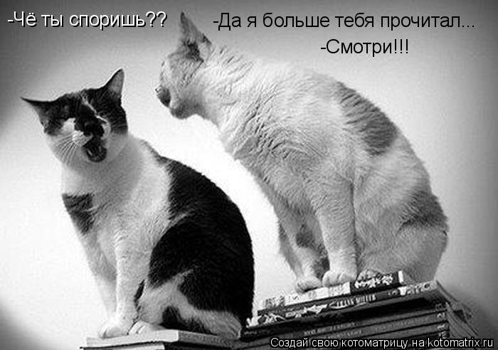 Котоматрица: -Чё ты споришь?? -Да я больше тебя прочитал... -Смотри!!!
