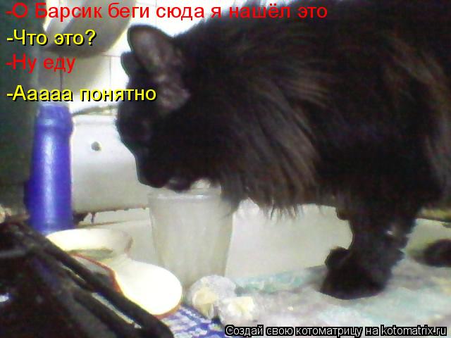 Котоматрица: -Ааааа понятно -Что это? -Ну еду -О Барсик беги сюда я нашёл это