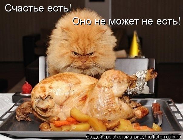 Котоматрица: Счастье есть! Оно не может не есть!